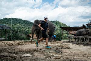 BIB: 
                            <button type="button" onclick="openModal(22423950)" class="btn btn-primary btn-sm float-right btn-popup" data-toggle="modal" data-target=".modal-high-quality">
                        <i class="fas fa-shopping-cart"></i> Add to Cart
                    </button>
                                            <button type="button" onclick="isThisMe(22423950, true)" class="btn btn-success btn-sm float-right btn-popup btn-isme hidden" data-toggle="tooltip" data-placement="bottom" title="นี่คือรูปของคุณใช่ไหม คลิกที่นี่เพื่อเอาเข้าอัลบั้ม">
                        <i class="fas fa-plus"></i> Add to album
                    </button>
                    <button type="button" onclick="isThisMe(22423950, false)" class="btn btn-warning btn-sm float-right btn-popup btn-isnotme hidden">
                        <i class="fas fa-ban"></i> Remove from album
                    </button>